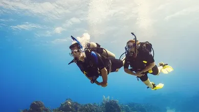 Scuba Diver