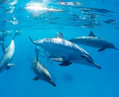 trips-watersports-hurghada